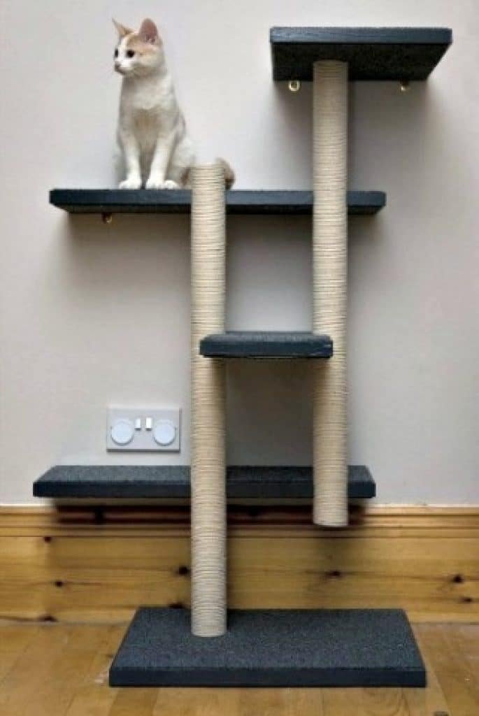 Best Cat Tree Latest Detailed Reviews