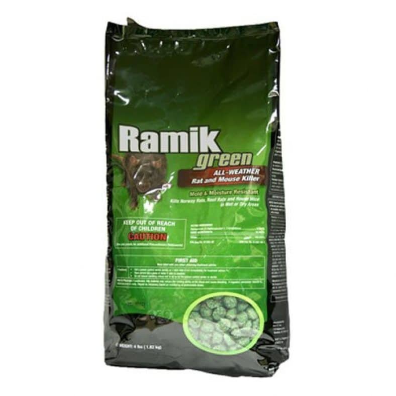 Best Rat Poison Latest Detailed Reviews