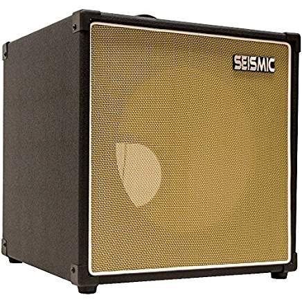 Best 1x12 Guitar Cabinet Latest Detailed Reviews Thereviewgurus