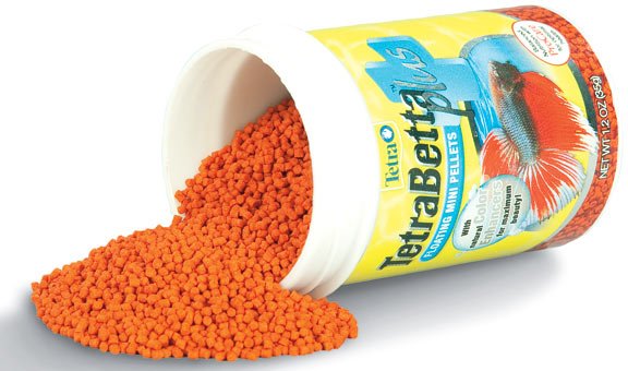 tetra food for betta