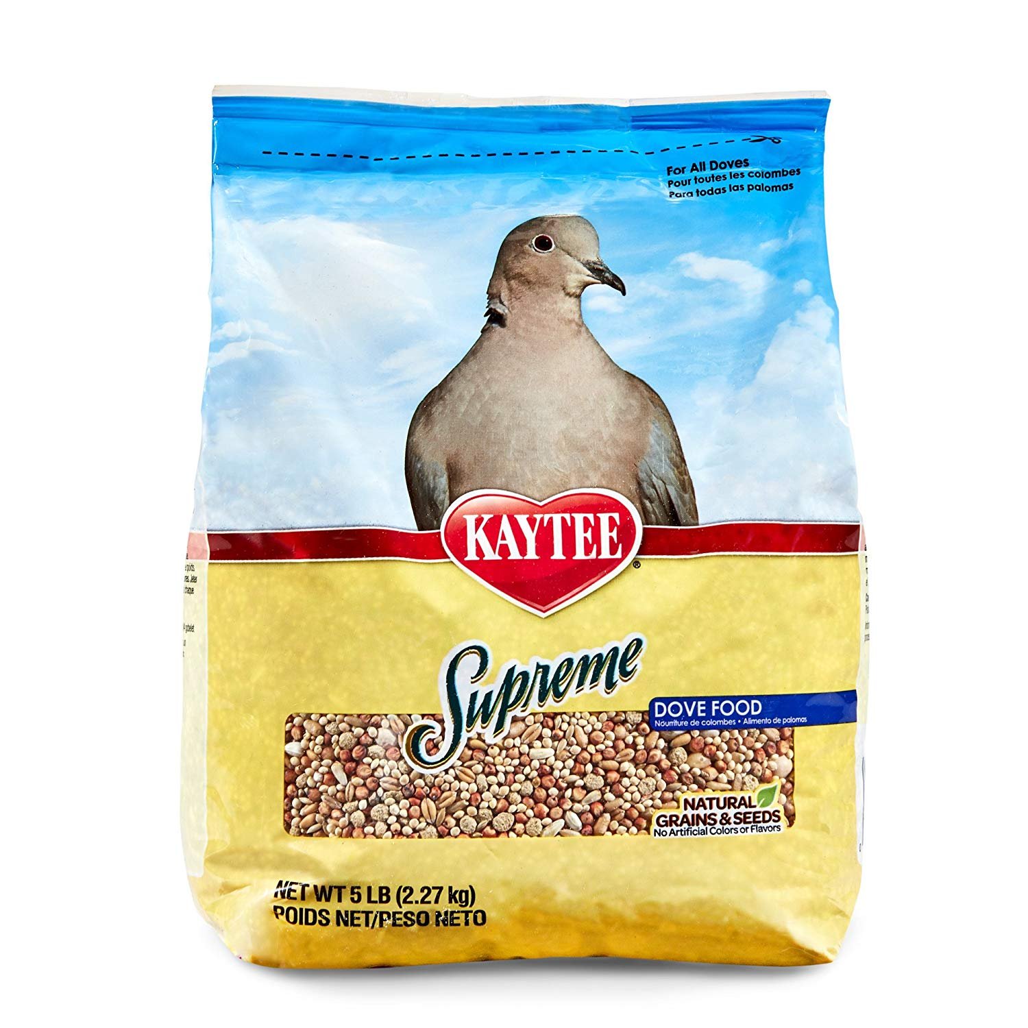 Best Dove Food Top 5 Detailed Reviews