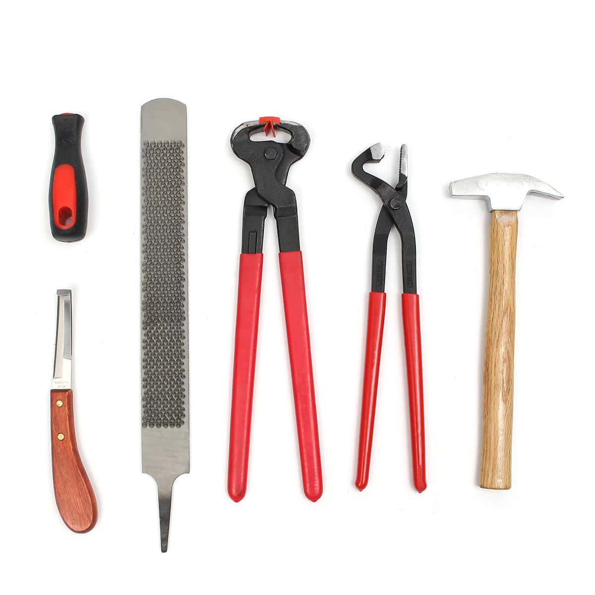 best-farrier-tools-top-5-detailed-reviews-thereviewgurus