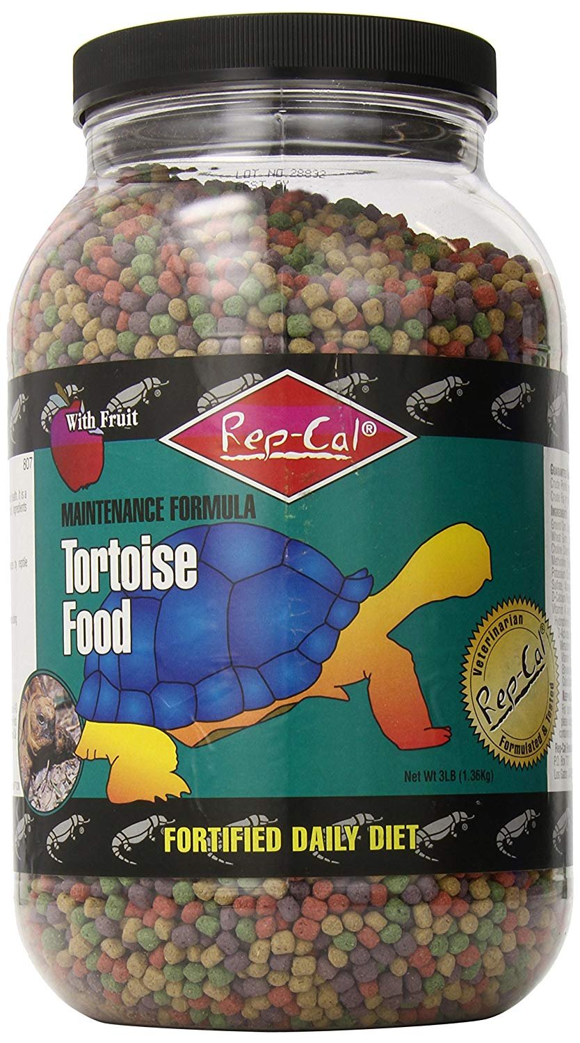 Best Tortoise Food Top 5 Detailed Reviews